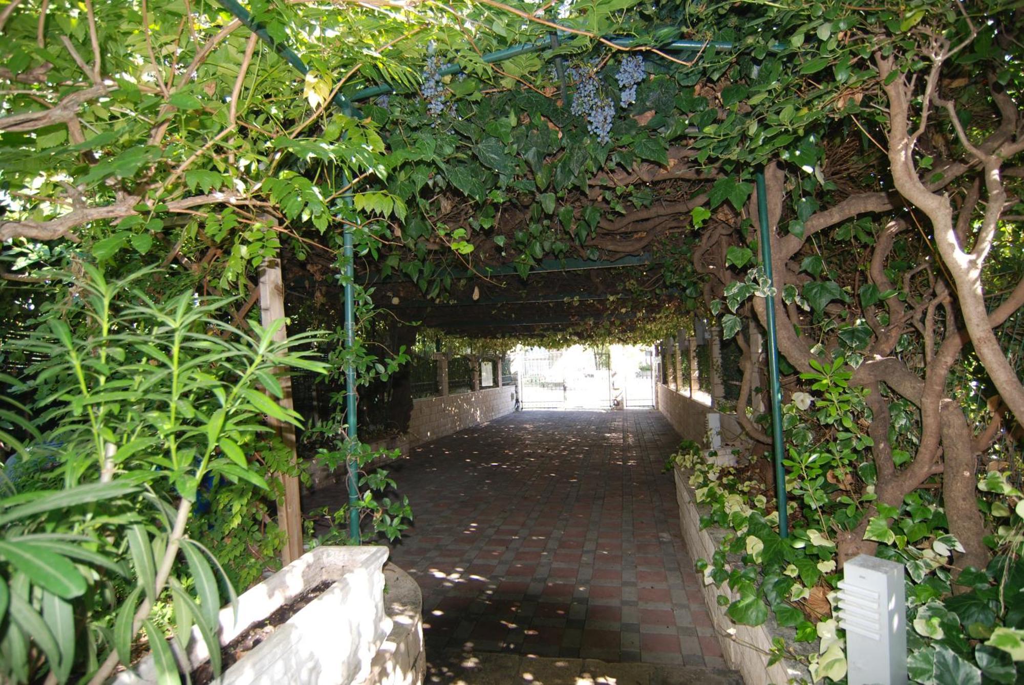 Villa Aspalathos Kastela Dış mekan fotoğraf